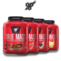 신타6 트루매스 게이너 True Mass 2.54kg, 초코