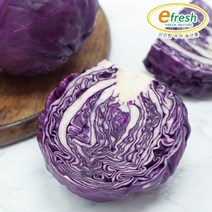 신선한 적 양배추 5kg / 개당 700g 내외