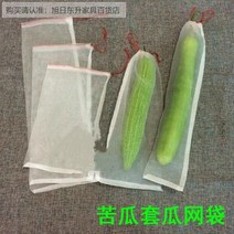 1+1 방조망 한냉사 한랭사 블루베리망 참새망 오이 호박 조류 농작물보호 넝쿨 농사용그물 여주 세트 멜론 메쉬 가방 수박 방충 가방 블루베리 과일 멜론 과일 방충 가방 수세미, 길이 70너비 48cm 싱글 로프 + 메쉬 백용