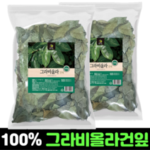 그라비올라 건잎 600g 순수 100% 자연건조 그라비올라잎 그라비올라차 분말 효능 graviola