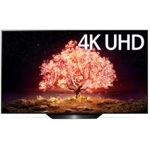 LG전자 4K UHD OLED 163cm TV OLED65B1VNA1 방문설치, 벽걸이형