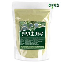 국내산 제주산 천년초 가루 300g 손바닥선인장 선인장줄기 선인장잎 선인장가루 천년초가루 천년초분말 선인장분말가루 손바닥선인장분말, 제주산 천년초가루 300gx1팩