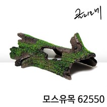 클리오레 모스유목 I 62550