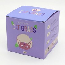 캣그라스 캣닢 씨앗 꽃 식물 채소 모종 새싹 키우기 쉬운 DIY 키트 어린이집 유치원