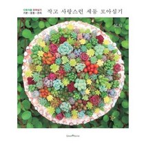 작고 사랑스런 세둠 모아심기 다육식물모아심기 기본 응용 관리, 상품명