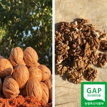 국산 햇 호두 피호두 깐호두 산지직송 GAP인증 100g 500g 1kg, 깐호두_100g