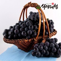 식탐대첩 씨없는 세이블 블랙 포도 8kg 8팩, 단품
