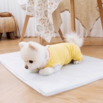 사계절연구소 친환경 냉수 강아지 고양이 애견 쿨매트 쿨방석 여름 매트 대형 중형 여름용, 1.강아지 쿨매트, 아쿠아블루