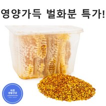 [바른생활건강] 벌화분 비폴렌 순수 100% 첨가물zero 단백질 비타민B 다량함유, 500g x 1통
