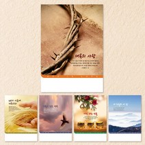 예닮 주보 절기주보 5종 A4 교회주보 칼라 팬시 기성주보 디자인주보 예배순서지 복사용지 감사노트 헌금봉투 예배용품 주보제작, 3세트