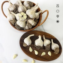 [사계식탁] 의성 마늘 알싸한 토종마늘, 중 3.5~4cm, 1개, 3kg