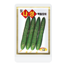 나성백침오이씨 50립 오이 씨앗 대장 동원종묘