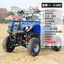 4륜바이크 사륜 4륜 오토바이 ATV 오프로드 Little Bull 가솔린 전기 산악 카트 성인 전 지형 경기장, 패키지 1/3개 입력 및 1개 출력/