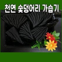 천연 숯덩어리 가습기 (숯가습기 공기정화 제습제 참