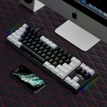 61 키 60% 미니 게임 기계식 키보드 RGB 유형-C 유선 게임용 인체 공학적 게이머용 캡, 블루 스위치, 71 Keys white black