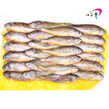 새우몰 제주 참조기 50미 4kg (종이박스포장재 무게제외) 2022년 10월 조업