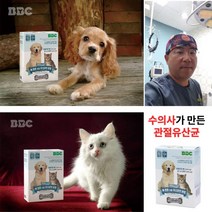 [특허] 강아지 관절약 슬개골 쓸개골 관절 약 관절염 노견 유산균 영양제 30포