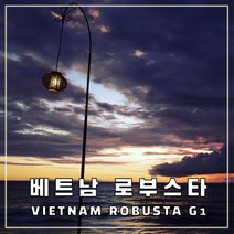 (커피생두) 63 베트남 로부스타 G1 500g