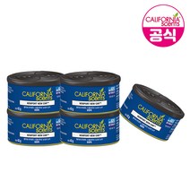캘리포니아센트 스필프루프 캔타입 뉴포트 뉴카향 5입 차량용 방향제