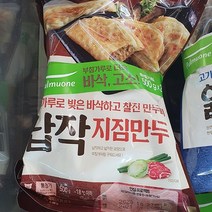 풀무원 납작 지짐만두 500g x 2입, 아이스박스 포장