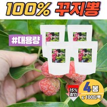 중년 간식 꾸지뽕잎 100티백 x4 구찌뽕 열매 100% 잎차 암나무 산약초
