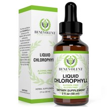 Visit B.N Chlorophyll Liquid Drops 클로로필 영양 보충제 액체 드롭 2oz(59ml)
