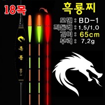 회전찌고무 + 스마트 전자장찌 65cm 18목 흑룡찌 스마트전자찌 민물전자찌 낚시찌 전자찌 고부력 대물찌, BD-1, 1세트