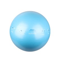 임산부 짐볼운동법 스티커짐볼 65cm 블루 복근운동 다이어트운동