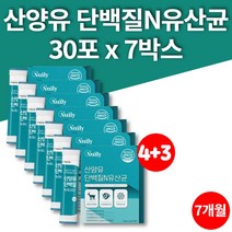국민 어른 60대 70대 유산균 비피더스균 고트스트럼 프리미엄 네덜란드 산양 분유 스틱 물에타먹는 시니어 단백질 보충제 PROTEIN, 7박스