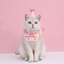 강아지 케이프 고양이 요정 생일모자 턱받이 머플러 레이스 도그빕 애견용품 파티햇 고깔모자 생일축하햇 세트, 퍼플