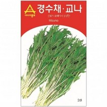 (아시아종묘/어린잎채소씨앗) 경수채.교나(2000립), 1개
