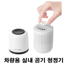 2평 3평 안방 반지하 침실 BMW 벤츠 차량 차 유모차 실내 먼지 냄새 포름알데히드 제거 공기청정기, 블랙