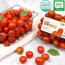 [HACCP+GAP인증] 정품 스테비아 방울토마토/완숙토마토 당일수확발송, 스테비아 방울토마토 500g, 4팩