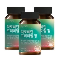 오늘의밸런스 락토페린 3000mg 고함량 초유 유산균 60정 6개월분, 60정 X 3개 6개월분, 3개
