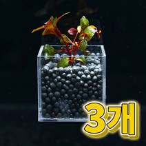 어항수초 컨테이너 루드위지아 슈퍼레드 세트 3개, 없음