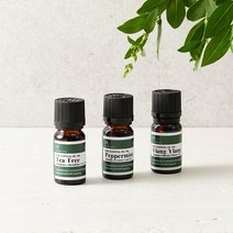 [힐링팜스] 아로마테라피 퓨어 에센셜 오일 100 10ml (14종 중 택 1) / 숙면오일 심신안정오일 집중력오일, 4.프랑킨센스