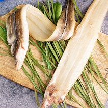 산지통영 제철 활멍게 출하 굴가리비문어, 1팩, 반건조장어(특대)3미,장어소스1개