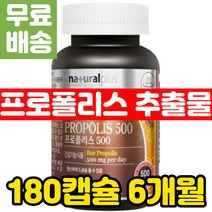 비프로폴리스 500 활성 유해 산소 제거 프로플리스 플로폴리스 캡슐 네츄럴플러스 항산화 영양제 식품 프로폴리스 성분 섭취 방법 음식 항산화제 propolis 건강 기능 보조 추천
