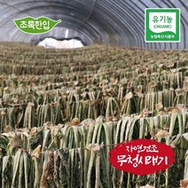 유기농 국내산 무청시래기 500g