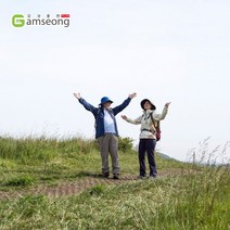 야자수 보행매트 0.6mx10mx35t