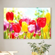 예쁜 힐링 풍수 인테리어 장미 데이지 튤립 꽃그림 모음 북유럽감성 식물액자, 04.선샤인 튤립