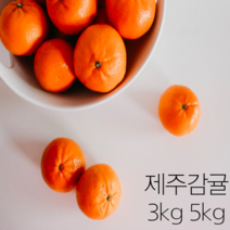 제주명품감귤 껍질얇은 귤 귤10키로 제주도귤택배 감귤단귤 감귤10키로 저농약귤 서귀포맛좋은감귤 당도높은귤 맛좋은감귤 싱싱한감귤 달달한귤 제주감귤 10키로 5키로 10kg 5kg, 감귤 5kg 로얄 소과(2S) x 1박스