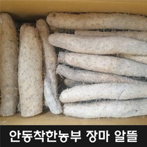 22년산 햇안동 장마 알뜰마 10키로, 장마알뜰5kg