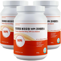 자주가게 분리 유청 단백질 WPI 락토프리 식약청 해썹 인증 대용량 600g, 3개