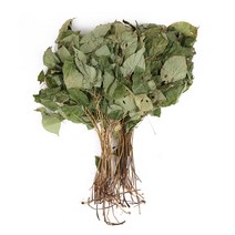 신선약초 국산 음양곽 50g / 삼지구엽초, 1