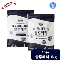 베리필드 칠레산 냉동 블루베리 1kg 냉동과일, 2개