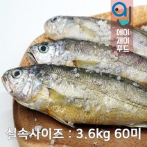 제주 참조기 3.6kg 60미 (제철 제주 조업 대용량 박스 햇조기 조기조림 조기구이 조기탕), 1박스-실속 60마리