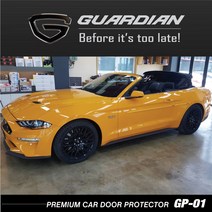 포드 머스탱 전용 가디언 도어가드, INGOT SILVER - 25번