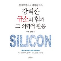 실리콘 밸리의 기적을 만든 강력한 규소의 힘과 그 의학적 활용, 행복에너지, 이시형선재광