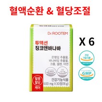 닥터루템 혈액순환 개선제 혈당 조절 영양제 은행잎 바나바잎 추출물 징코앤바나바, 6개, 30정